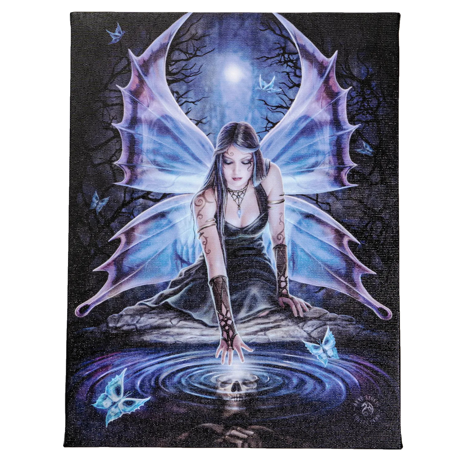 IMMORTAL FLIGHT CANVAS PRINT C/48